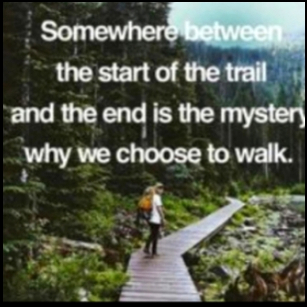 🦦  FUR SHAWL SABLE Vintage BEAUTY FITS XL-2X IMO - Picture 10 of 12